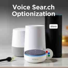 Voice Search Optimization